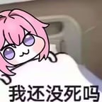 蔓延舒宁（华子