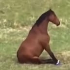 Энергичный Мужской Голос