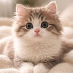 知的なナレーター