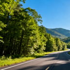 播客-知性讲解女声