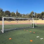 صوت موسى التعمري