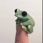 AJAKAJJAJIJABIUAJOIAJ