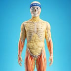 Voz Publicitaria Clara