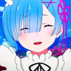 REM 2,0