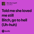 Professional Narrator