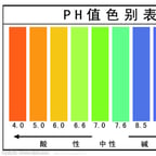 首儿-新闻采访女