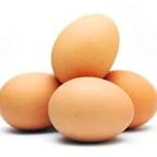 clonacion de vos(huevo)