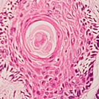 صوت عراقية ريانية