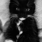 Геймерская Рассказчицаы