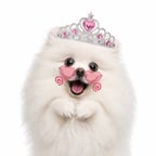 Энергичный Рассказчик