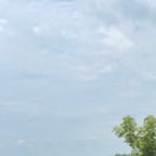 Joven Conversador Masculino