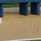 Voz do cara do rádio