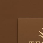 Voz Conversacional Amigable