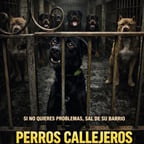 Voz Masculina Alegre