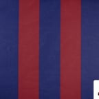 Voz Clara Profesional