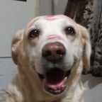 Dramatic Female Narrator