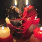 Unicornio Negro OFICIAL