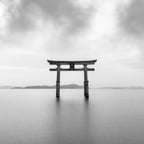 Soprano Melódica Vibrante