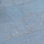 Marathi Gentle Voice