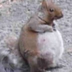 Voz Infantil Juguetona