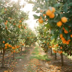 dfhdhdhdhtdzhdthdthdthdthdthdth