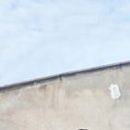 Voz Masculina Expressiva