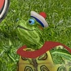 Turtle Tuck (Wonder Pets!)