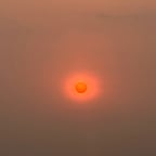 Candid Conversationalist