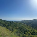 Calm Nature Narrator