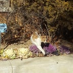 사려 깊은 이야기