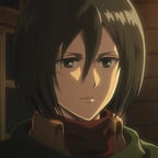 mikasa