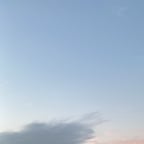 صوت عربي حكيم