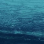 三上读书吧妈妈