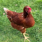 Alinas Akzent Stimme