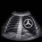 Festlicher Moderator