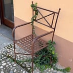 Calm Female Narrator