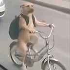 Voz Masculina Expressiva