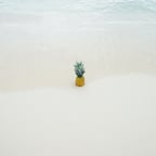 Refined British Narrator