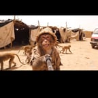 صوت شاب يمني