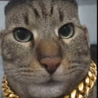 Voz Masculina Dinámica