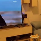 مساء الخير كيفك نايف