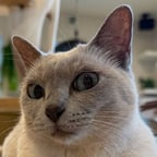 Hnoodh368 😂😂😂