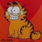 Garfield (Sandro Larenas)