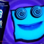 Jr Splaaton (Enjoy Your Eternity Bro)