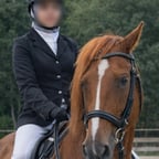 جوري ميوزيك 