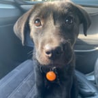 刘老师（志华）