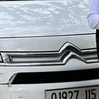 المتحدث النشيط