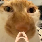 提格买尼（清朝音质）