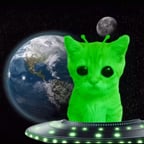 Alien cat