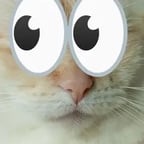 Energetic Male Rapper